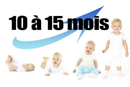 Le développement de l'enfant de 10 à 15 mois